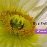 découvrez ce que votre allergie cherche à vous dire